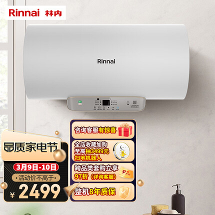 林内（Rinnai）80升电热水器 3000W速热 一级能效 高配双动力 6.5倍增容 专利防电墙 DSG80-E01P