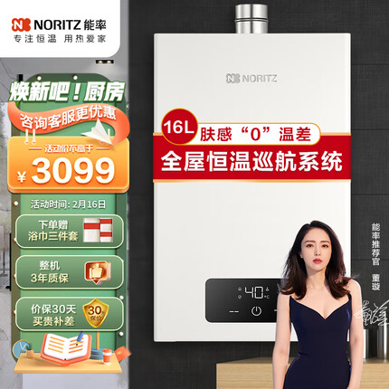 能率（NORITZ）燃气热水器16升 全屋恒温巡航 多点用水GQ-16EA2FEX（JSQ31-EA2）天然气防冻【京东金榜】