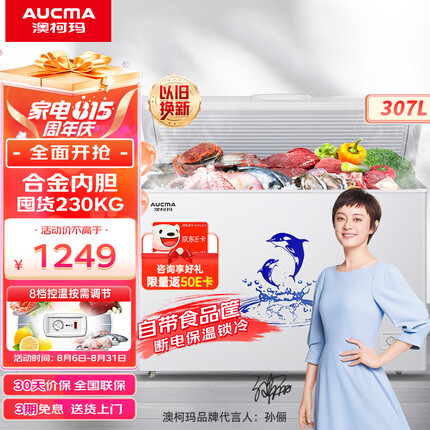 澳柯玛（AUCMA）307升低霜冰柜家用商用单温顶开门冷藏柜冷冻柜母乳小冰柜商用小型冰箱冷柜BC/BD-307HNE以旧换新