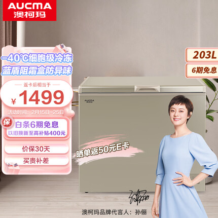 澳柯玛（AUCMA） 203升零下40度超低温冰柜 深海海鲜 电脑控温 家用商用大容量冷柜 BC/BD-203FNE