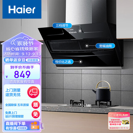 海尔（Haier）抽油烟机 侧吸式 厨房家用吸油烟机 大吸力排油烟机 350pa大静压 小户型老式脱排吸油烟机900C2