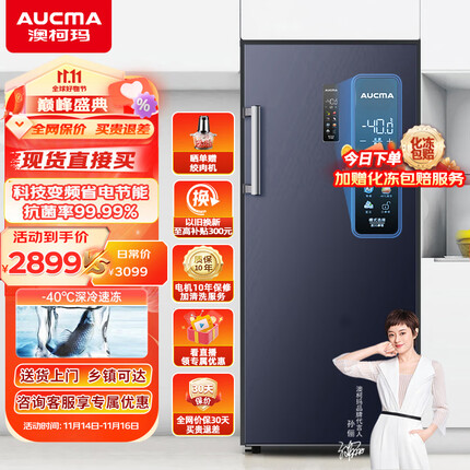 澳柯玛（AUCMA）192升立式冰柜家用风冷无霜 零下40℃深冷速冻 冷藏冷冻两用 囤货海鲜冷柜 净味除菌 BD-192WPHSNE