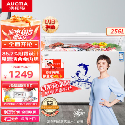 澳柯玛（AUCMA）256升家用冰柜 86.7%阻霜 商用单温冷柜 冷藏冷冻柜 母乳囤货冰箱 一级能效 BC/BD-256NE 以旧换新