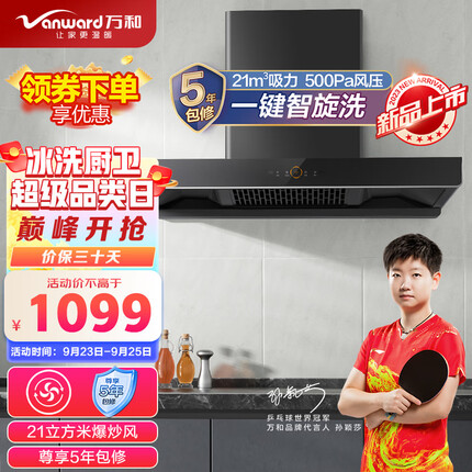 万和（Vanward）欧式油烟机 家用顶吸式抽油烟机 21m³/min大吸力吸油烟机 自清洗挥手感应 单烟机 WX536