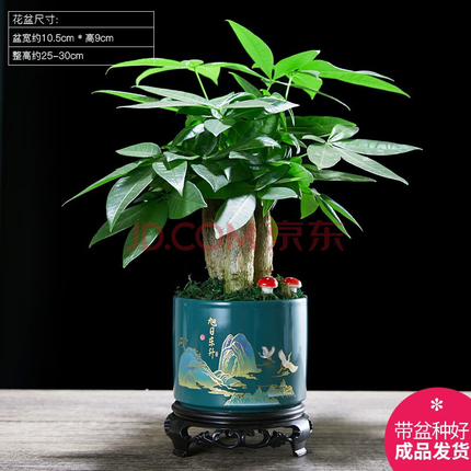今日好价 0909