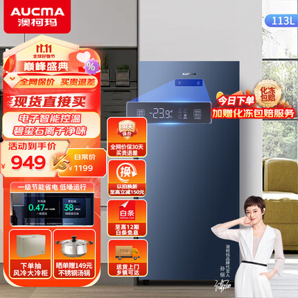 澳柯玛（AUCMA）113升立式冰柜 一级能效电脑智能控温 母乳冷冻抽屉式冷柜小冰箱 低噪节能省电大冷冻柜 BD-113EVH