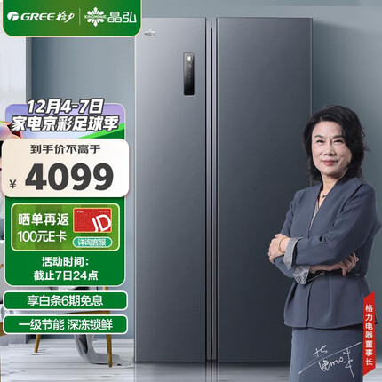 格力（GREE）晶弘 600升一级能效变频风冷离子净味大容量双开对开门冰箱 BCD-600WPDCL/布鲁斯