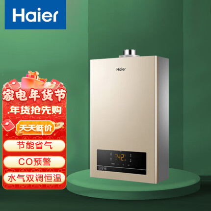 海尔（Haier） 燃气天然气热水器家用13升三挡变升恒温水汽双调JSQ25-13WGS(12T)