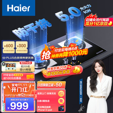 海尔（Haier）燃气灶 天然气灶 安全防干烧 5.0kW大火力 一级能效瞬燃点火 家用煤气灶双灶以旧换新QE9B1(天)