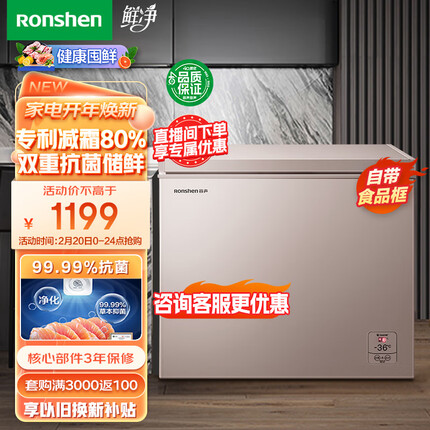 容声（Ronshen） 205升低霜小型冰柜家用商用单温冷柜 一级能效节能 电脑控温冷冻柜BD/BC-205MSYA