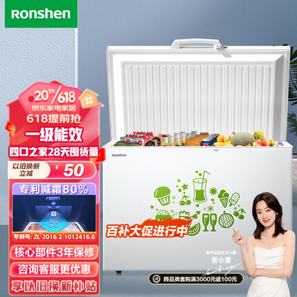 容声（Ronshen） 309升大容量冰柜家用商用冷藏冷冻转换单温冷柜 一级能效 雪糕冰柜 厨房冰箱BD/BC-309MD