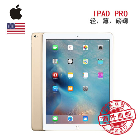 全球购苹果 Apple iPad Pro 12.9英寸平板电脑
