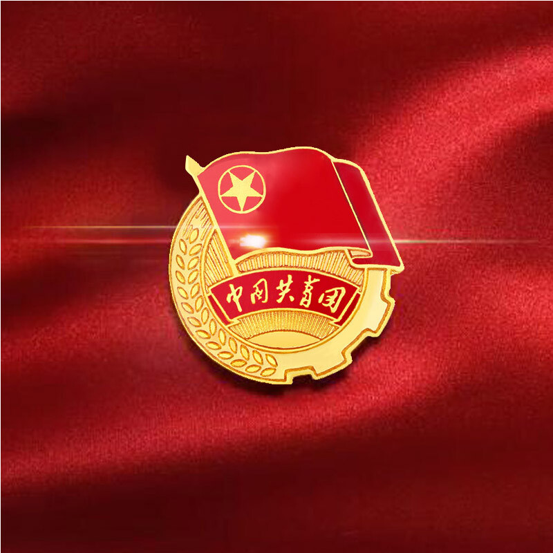 谋福l9521 团徽徽章 中国共青团别针款