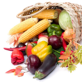 哈斯农场有机生活旗舰店