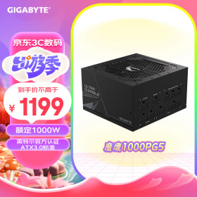 技嘉（GIGABYTE）魔鹰 额定1000W金牌认证全模组电脑电源/ATX 3.0/PCIE5.0/原生16PIN/十年保障/支持40系列显卡