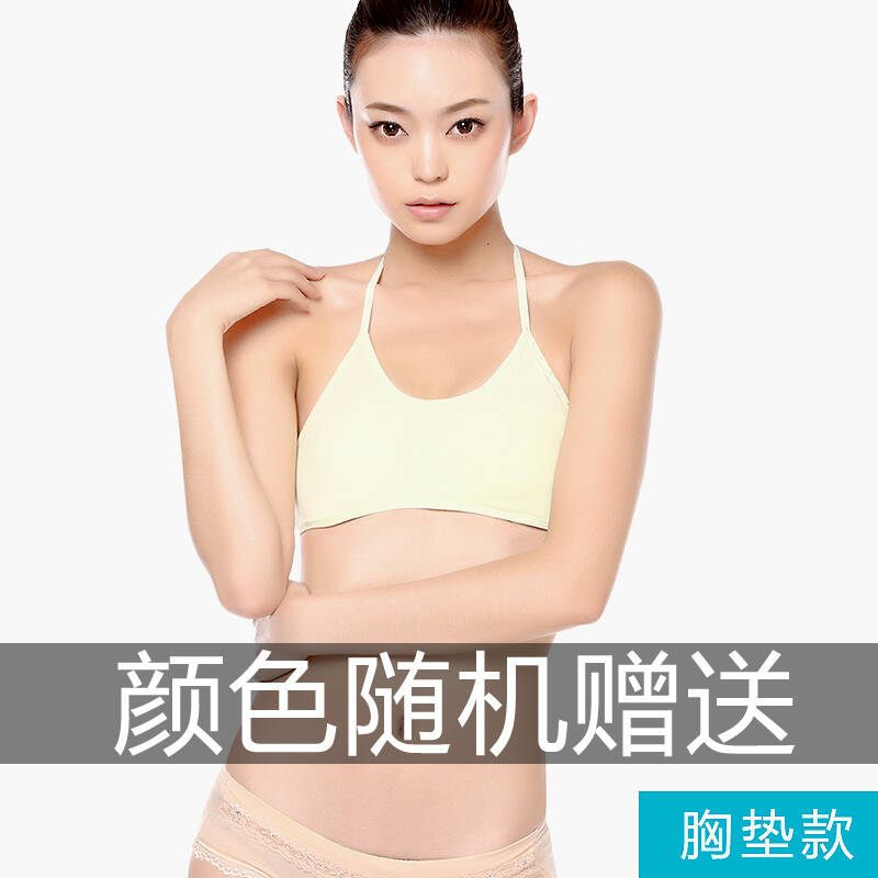 迪粲 带胸垫纯棉抹胸运动<em>文胸</em> 裹胸 颜色随机赠