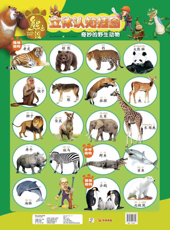 华图少儿·熊出没立体认知挂图:奇妙的野生动物