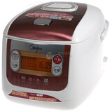 ���ģ�midea��FZ508 ������ϵ�� 5L ���԰� �緹��