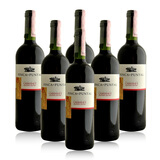 西班牙 芬卡赤霞珠干红葡萄酒750ml*6 整箱惊
