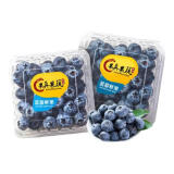 愉果云南蓝莓125g装 新鲜水果 125g 单果15+ 12盒