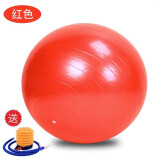 乃力乃力 瑜伽球55cm背夹球户外拓展训练游戏道具运动会亲子活动器材 红色瑜伽球 55cm(身高150-160cm)