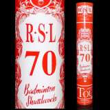 亚狮龙（RSL） 亚狮龙RSL羽毛球4号5号6号7号鸭毛球飞行稳定落点准确耐打训练球 RSL70号 （12只装） 1筒
