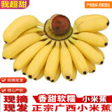 集年鲜广西小米蕉软糯香蕉当季现摘现发热带生鲜水果整箱拇指萌香蕉 优选 2斤 含箱