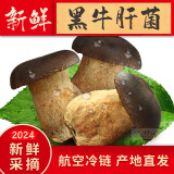 高原云品【新鲜黑牛肝菌】每个挑选 新鲜菌菇 云南特产 火锅食材 新鲜速达 1000克