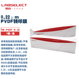 LABSELECT 甄选 TM-PVDF-R-22 PVDF转印膜,0.22μm 1卷