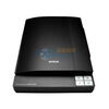 ������ (Epson) Perfection V300 Photo ��ɫɨ����