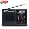 德生（Tecsun）R-202T便携式老年人收音机老人音响袖珍小半导体电视伴音高考英语听力四六级FM调频广播半导体