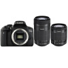 佳能（Canon）EOS 750D 单反套机 (EF-S 18-55mm f/3.5-5.6 IS STM+EF-S 55-250mm f/4-5.6 IS STM 镜头)