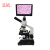 BM上海彼爱姆生物显微镜实验室视频生物显微镜 XSP-BM-1CAP 
