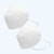 工霸（GONGBA）N95防护口罩防飞沫防尘成人口罩灭菌级 独立包装（1只装）