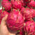三萌果蔬火龙果 金都一号红心火龙果海南新鲜特大果红肉京都树上熟超 中果 1.5kg
