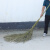 博硕 大扫把 竹杆把连体款环卫学校扫把扫马路 竹竿把大扫把（3.5斤）