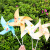 IGIFTFIRE儿童小风车diy手工材料包幼儿园创意制作绘画涂鸦画组装折纸玩具 B.户外防水款（2个风车）