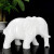 大象摆件玉石 天然阿富汗玉石大象一对 吉祥玄关客厅酒柜简约现代 长10厘米一对国检证书