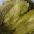 贵州酸菜贵州特产酸汤发酵酸菜泡菜农家自制青菜酸菜豆米无盐酸菜 10斤酸菜