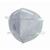 代尔塔(DELTAPLUS）口罩国标KN95头戴式活性炭除异味白色 104096 双片装 25包