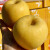 傻果新疆黄金维纳斯苹果黄金奶油彩箱礼盒装应季新鲜孕妇水果生鲜 16枚优质果(彩色礼盒装)