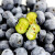 愉果（yuguo）国产蓝莓125g精选装 新鲜水果 125g*1盒装
