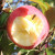 自然搭档 陕西洛川苹果红富士糖心苹果脆甜多汁 新鲜水果礼盒 5斤装（净重4.5-5斤 单果170g+）