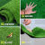 仿真草坪绿地毯铺垫假人工草皮户外人造围挡屋顶隔热塑料足球场草 20mm夏草加密绿底款(1米宽3米长