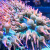雪花红奶嘴海葵荧光绿红海葵珊瑚绿地毯小丑鱼共生软体鱼缸奶嘴 下单就送10cm紫头奶嘴一个