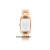 蔻驰（COACH）欧美表 REESE系列 摩登时髦方形白色表盘 玫瑰金表带 时尚石英机 14504317