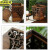 京洲实邦 大号基础无配件 摇盖式木质复古木纹中式垃圾桶JZSB-9029
