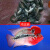 AIPHAROW泰国进口罗汉苗热带观赏鱼活体鸿运泰金花纹红德萨高爆头率罗汉鱼 高起头鸿运苗5条装（2-3cm）