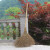 依朴大扫把 竹扫把 竹扫帚马路工地清洁扫把 园林庭院环卫 小竹扫把