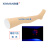 欣曼XINMAN 针灸腿部训练模型 腿部针灸针刺扎针练习模型